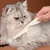 UAMLY Peigne anti-puces pour chiens et chats