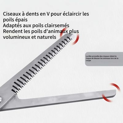 FurryFusion Ciseaux de toilettage pour chien
