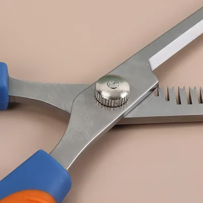 FurryFusion Ciseaux de toilettage pour chien