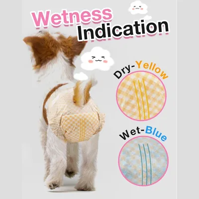 IntiMeg Couches pour Chienne