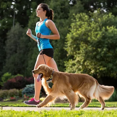 Pet Planet Distributeur De Sacs À Déjections 2 Pièces Design Tasse À Café