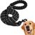 IntiMeg Laisse de dressage pour chien