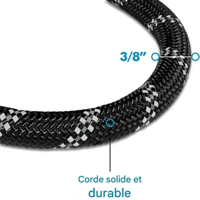 IntiMeg Laisse de dressage pour chien