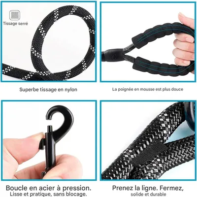 IntiMeg Laisse de dressage pour chien