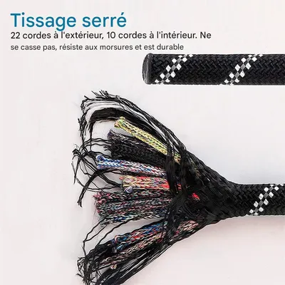 IntiMeg Laisse de dressage pour chien