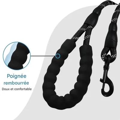 IntiMeg Laisse de dressage pour chien