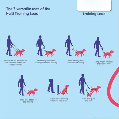 IntiMeg Laisse éducative 2M