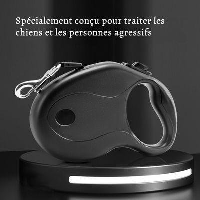 Petopia Laisse pour animaux de compagnie