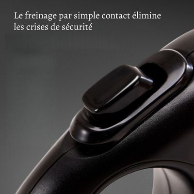 Petopia Laisse pour animaux de compagnie