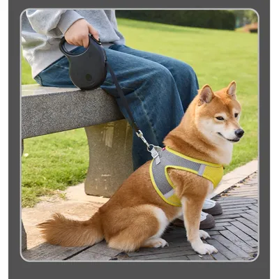 Petopia Laisse pour animaux de compagnie