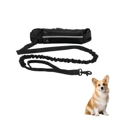 Petopia Laisse pour chien mains libres