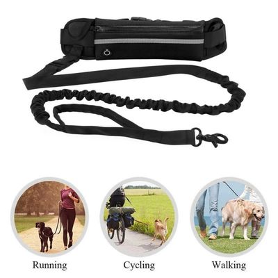 Petopia Laisse pour chien mains libres