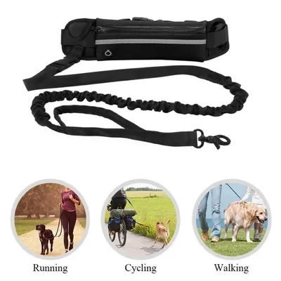 Petopia Laisse pour chien mains libres