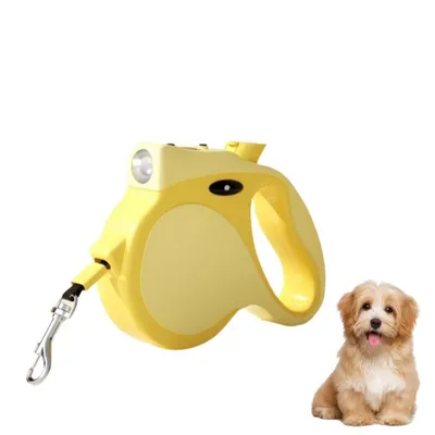 Petopia Laisse pour chien