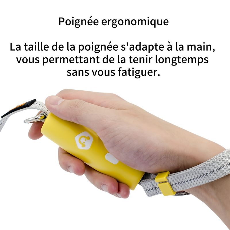 FurryFusion Laisse élastique réfléchissante pour chien