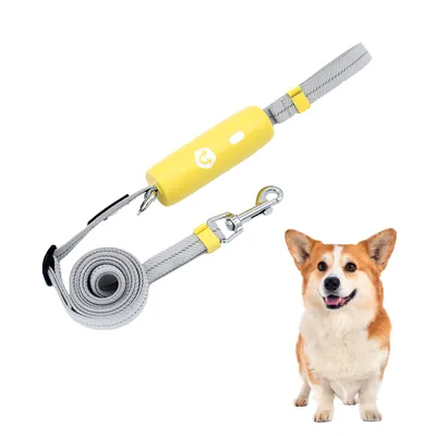 FurryFusion Laisse élastique réfléchissante pour chien FurryFusion Laisse élastique réfléchissante pour chien