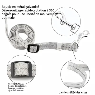 FurryFusion Laisse élastique réfléchissante pour chien
