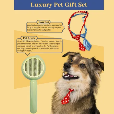 IntiMeg Kit de toilettage et de nettoyage pour chiens et chats