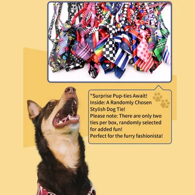 IntiMeg Kit de toilettage et de nettoyage pour chiens et chats