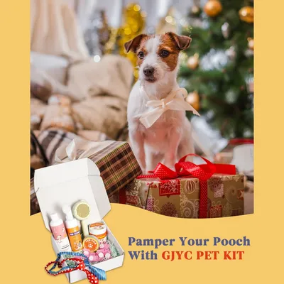 IntiMeg Kit de toilettage et de nettoyage pour chiens et chats