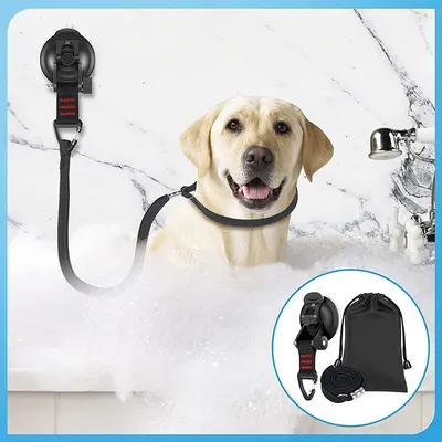 Petopia Fixateur pour bain et toilettage d'animaux de compagnie