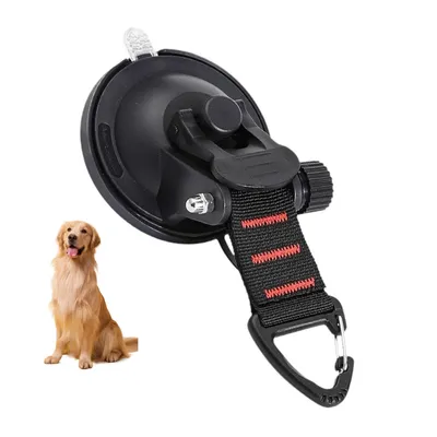 Petopia Fixateur pour bain et toilettage d'animaux de compagnie