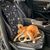 Tapis de voiture pour chiens et chats - Tissu Oxford imperméable