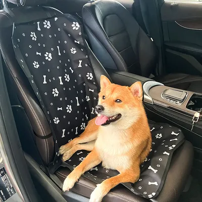 ZenPets Tapis de voiture pour chiens et chats - Tissu Oxford imperméable