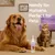 IntiMeg Nettoyant pour oreilles de chiens et chats