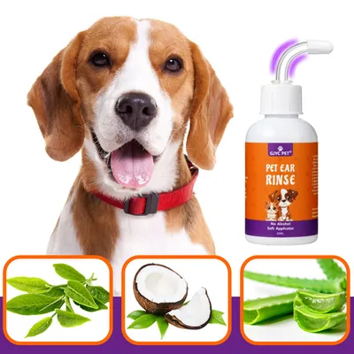 IntiMeg Kit de nettoyage des oreilles pour chiens et chats