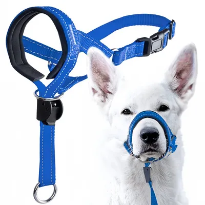 FurryFusion Muselière réglable pour chien