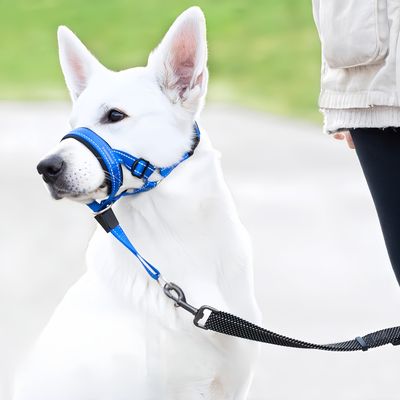 FurryFusion Verstellbarer Hundemaulkorb