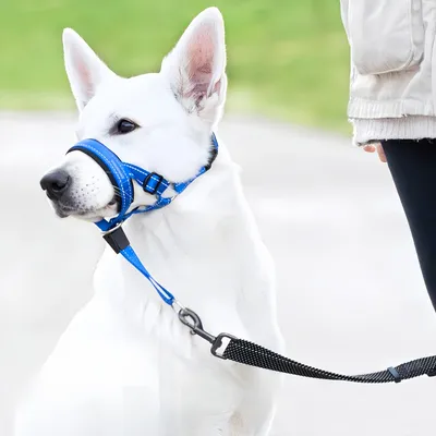 FurryFusion Bozal ajustable para perros