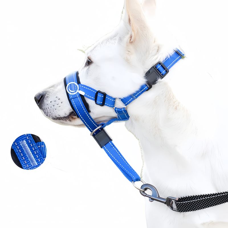 FurryFusion Muselière réglable pour chien