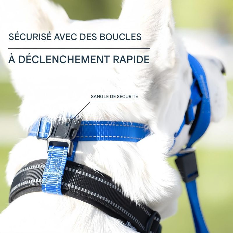 FurryFusion Muselière réglable pour chien