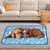 Pet Planet Tapis Rafraîchissant Cooling Mat Pour Chien