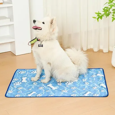 Pet Planet Tapis Rafraîchissant Cooling Mat Pour Chien
