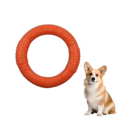 Petopia Frisbee de formation pour chien