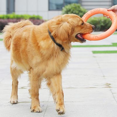 Petopia Frisbee de formation pour chien