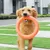 Petopia Frisbee de formation pour chien