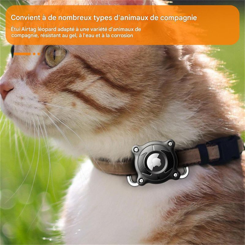 IntiMeg Collier Airtag pour Chien