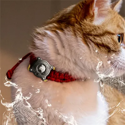 IntiMeg Collier Airtag pour Chien