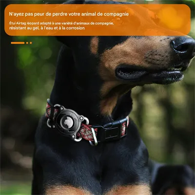 IntiMeg Collier Airtag pour Chien