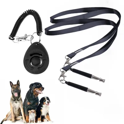 IntiMeg Sifflet et clicker pour dressage de chien IntiMeg Sifflet et clicker pour dressage de chien