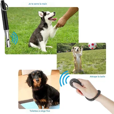 IntiMeg Sifflet et clicker pour dressage de chien