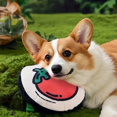 Petopia Jouet pour chien en forme de tomate