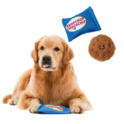 Pet Planet Jouet biscuit en peluche pour chien Pet Planet Jouet biscuit en peluche pour chien