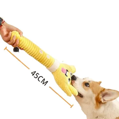 Petopia Jouet couineur pour chien