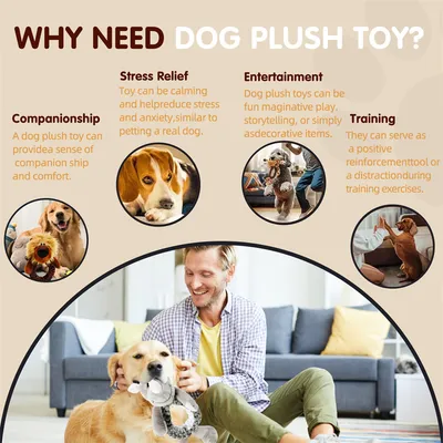 IntiMeg Jouet de Tresse en Corde pour Chien