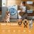 IntiMeg Jouet de Tresse en Corde pour Chien
